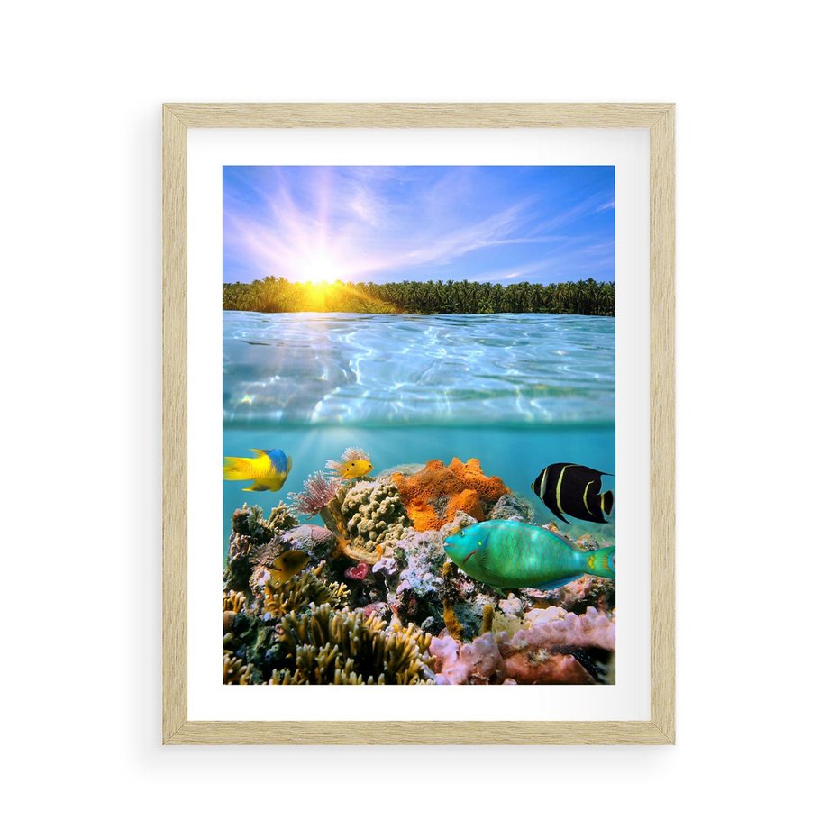 Plakat w ramie 40x50 - Rafa Koralowa - Podwodne Cuda - rafa, koralowa - rama drewno