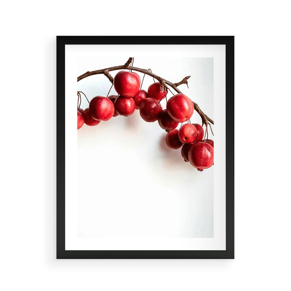 Plakat w ramie 40x50 - Jesienne Owoce - jarzębina, czerwone owoce - rama czarna
