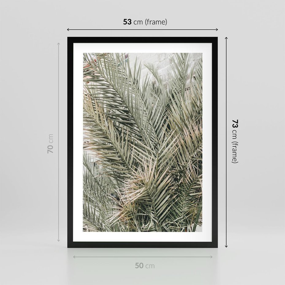 Plakat w ramie 50x70 - Egzotyczny Świat Palm - palmy, liście palmy - rama czarna