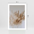 Plakat bez ramy 21x30 - Boho Urok Traw Pampasowych - suche trawy, pampas