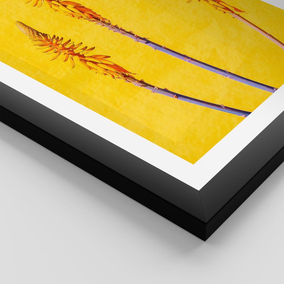 Plakat w ramie 40x50 - Radość Natury - kolor, kwiaty - rama czarna