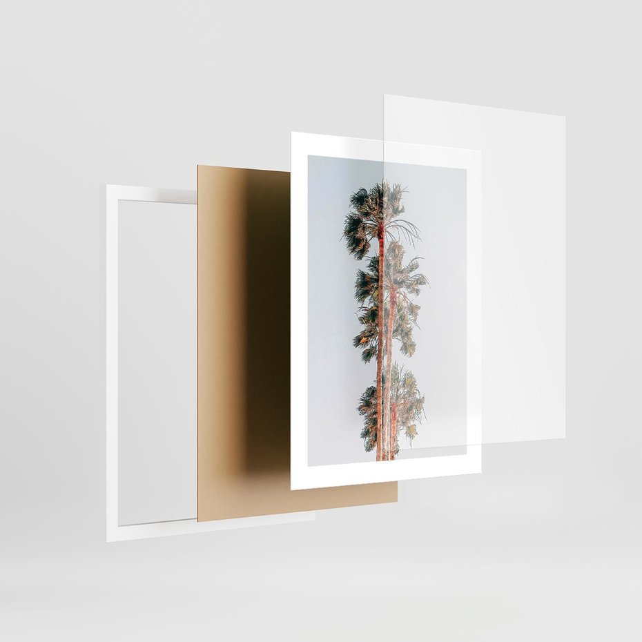 Plakat w ramie 30x40 - Kształty Palm - palmy, zdjęcie - rama biała