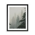 Plakat w ramie 40x50 - Mglista przemiana lasu - las, mgła - rama czarna
