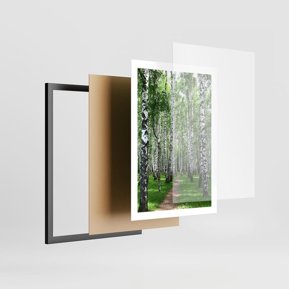 Plakat w ramie 50x70 - Magia lasu pełnego brzóz - las, brzozy - rama czarna