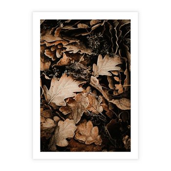 Plakat bez ramy 30x40 - Jesienna Melodia: Liście i Szyszki - suche liście, szyszki