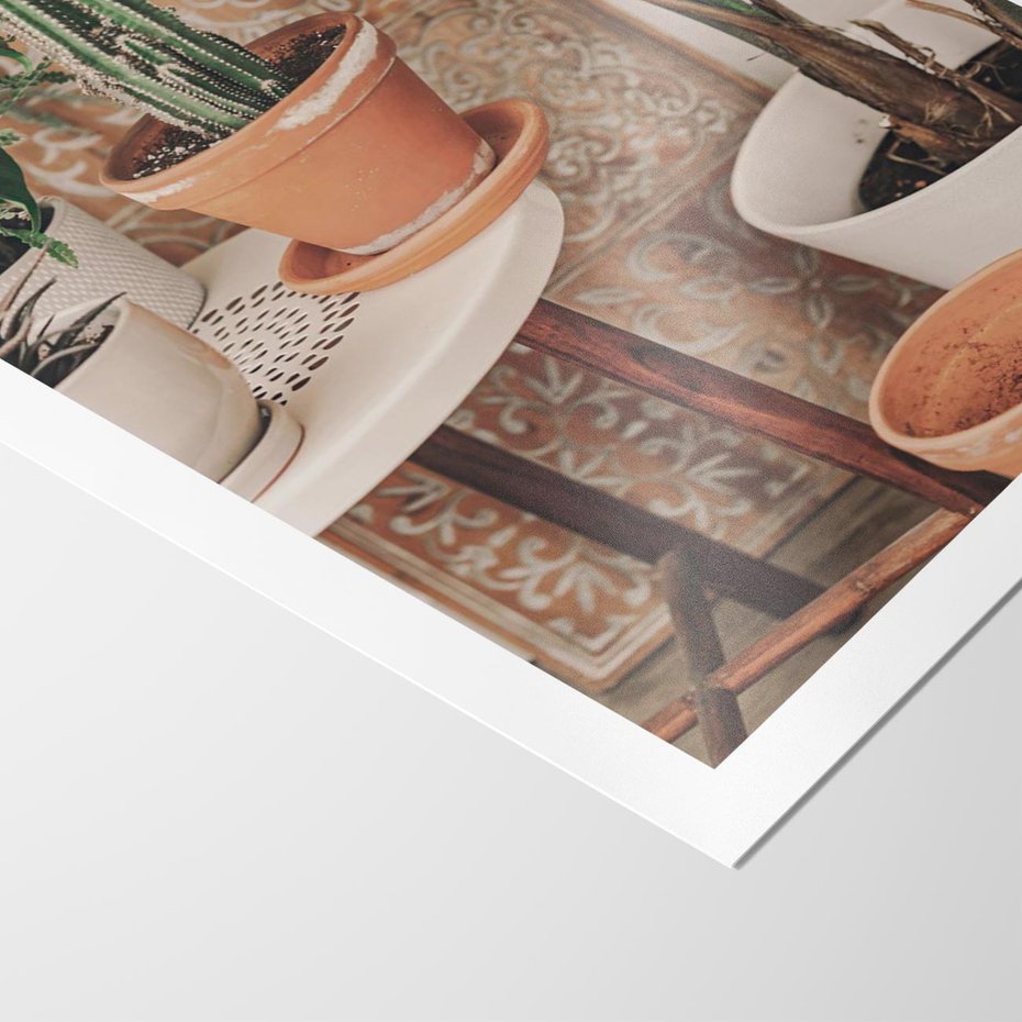 Plakat bez ramy 21x30 - Boho Oaza: Kaktusy w Doniczkach - rośliny kaktusy w doniczkach, boho wnętrze