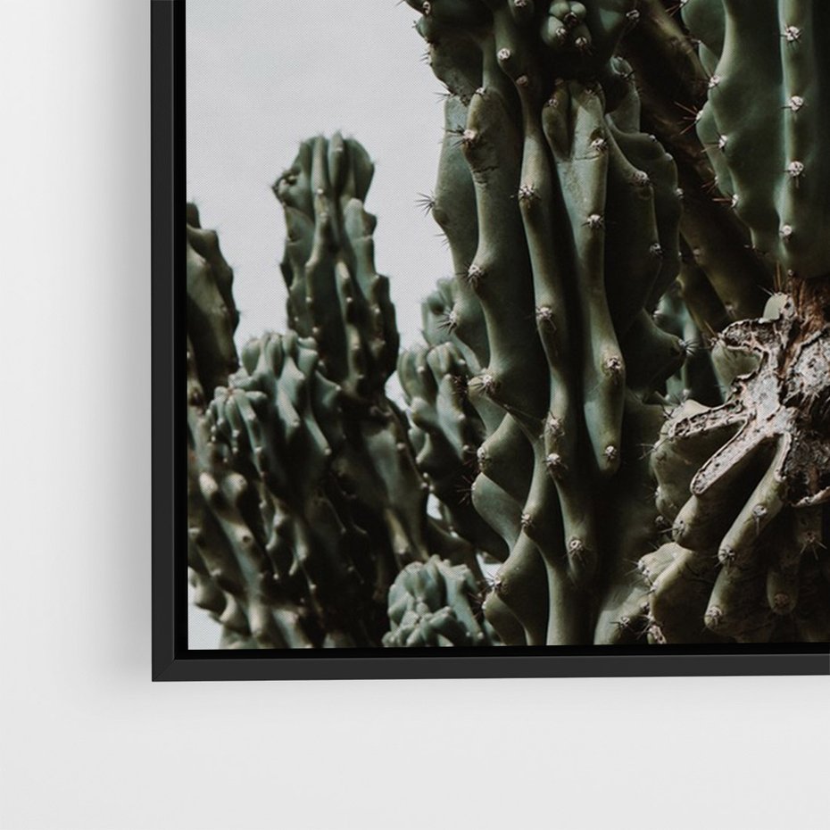 Obraz w ramie 70x100 - Boho oaza wśród kaktusów - kaktusy, pustynia - rama czarna