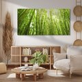 Obraz na płótnie 100x50 - Siła Natury - drzewa, las
