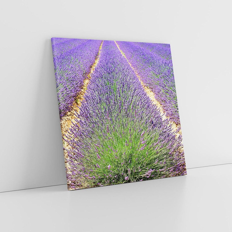 Obraz na płótnie 30x30 - Lawendowy kwiat - lawenda, kwiat