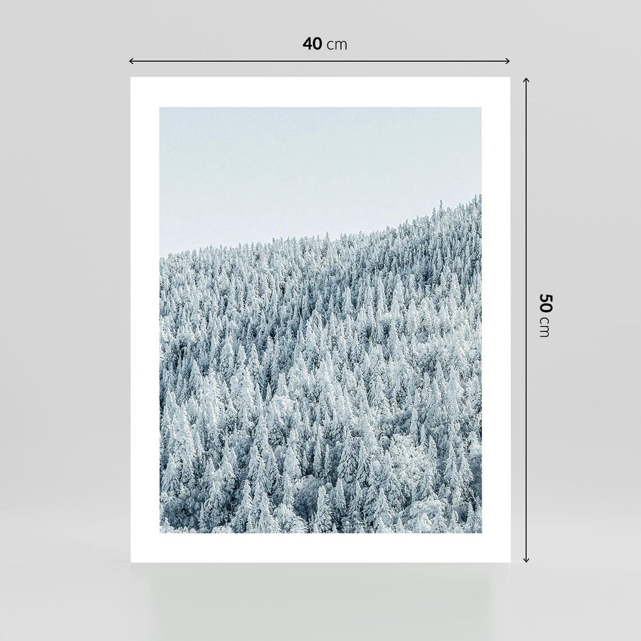 Plakat bez ramy 40x50 - Cicha Zima - las, zima