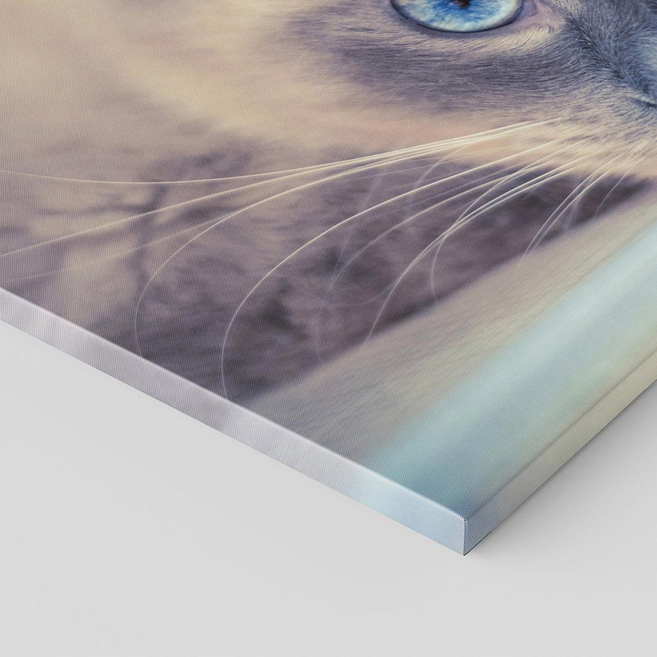 Obraz na płótnie 120x80 - Kotek w artystycznym stylu - kot, kotek