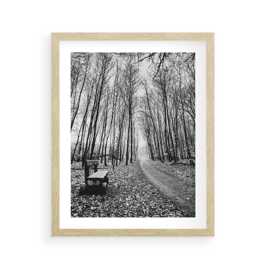 Plakat w ramie 40x50 - Spadające Liście - czarno białe zdjecie, park - rama drewno