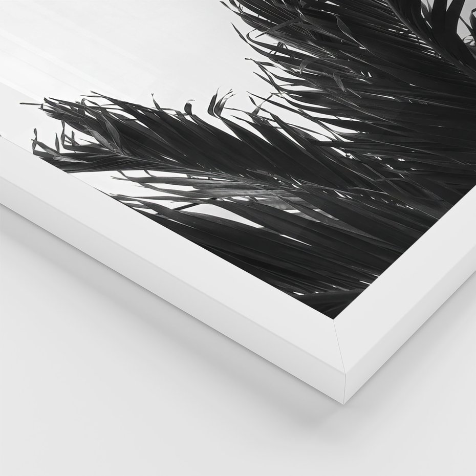 Zestaw obrazy w ramie 30x40 galeria - Palmy, tropiki, liście - rama biała