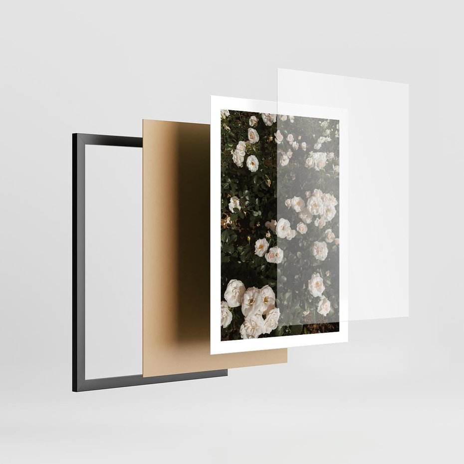 Plakat w ramie 50x70 - Czyste Piękno - białe kwiaty, białe róże - rama czarna