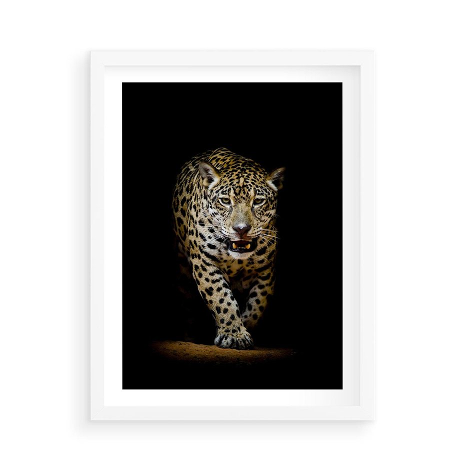 Plakat w ramie 50x70 - Elegancja lamparta - lampart, pantera - rama biała