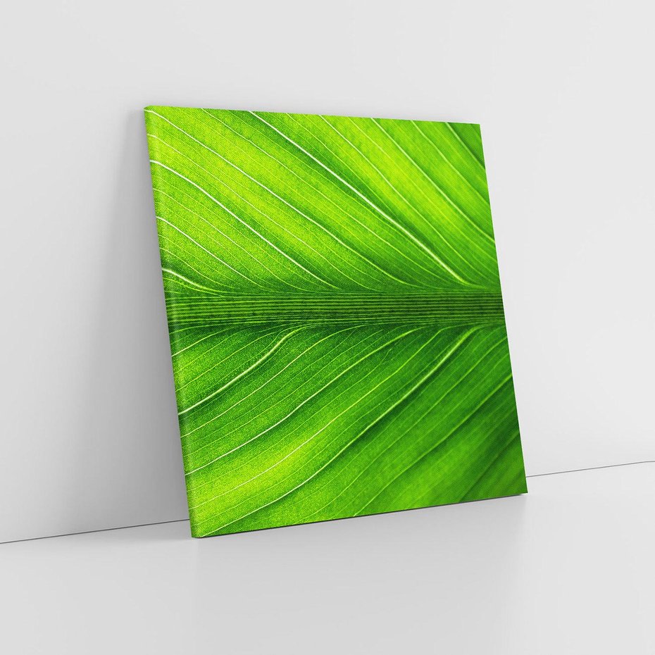 Obraz na płótnie 40x40 - Abstrakcja: interpretacje w liściach - liść, abstrakcja