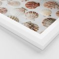 Plakat w ramie 30x40 - Morska Delikatność: Muszelki na Białym Tle - kompozycja, morskie muszelki na białym tle - rama biała