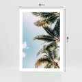 Plakat bez ramy 21x30 - Pod Błękitnym Niebem - palmy, ujęcie z dołu