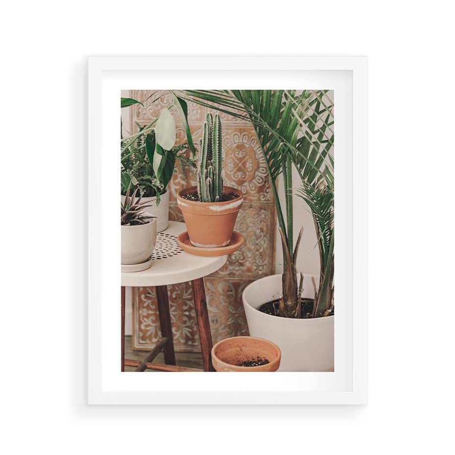 Plakat w ramie 40x50 - Boho Oaza: Kaktusy w Doniczkach - rośliny kaktusy w doniczkach, boho wnętrze - rama biała