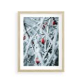 Plakat w ramie 30x40 - Zima na Gałęziach - zima, oszronione gałęzie - rama drewno