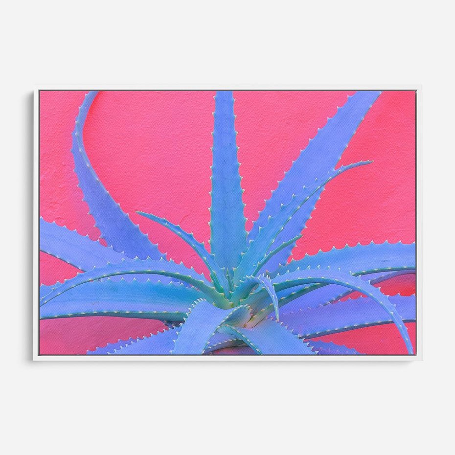 Obraz w ramie 100x70 - Piękno Pustyni - kaktusy, liście - rama biała