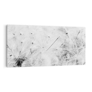 Obraz na płótnie 100x50 - Zdmuchnięty Puch - dmuchawce, delikatne