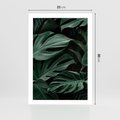 Plakat bez ramy 21x30 - Zielone Liście Monstery w Dżungli - zielone liście monstery, dżungla
