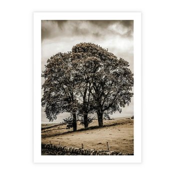 Plakat bez ramy 21x30 - Spokojna Osamotniona Chwila - beżowe kolory, samotne drzewo na polu