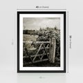 Plakat w ramie 40x50 - Wiejski Urok: Stary Płot i Kwitnący Krzew - rustykalne zdjęcie, stary płot - rama czarna