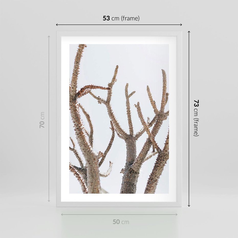 Plakat w ramie 50x70 - Pustynna Harmonia Gałęzi - pustynna roślina, suche gałęzie - rama biała