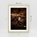 Plakat w ramie 30x40 - Gałęzie i Liść w Brązowej Tonacji - suche gałęzie, liść - rama drewno