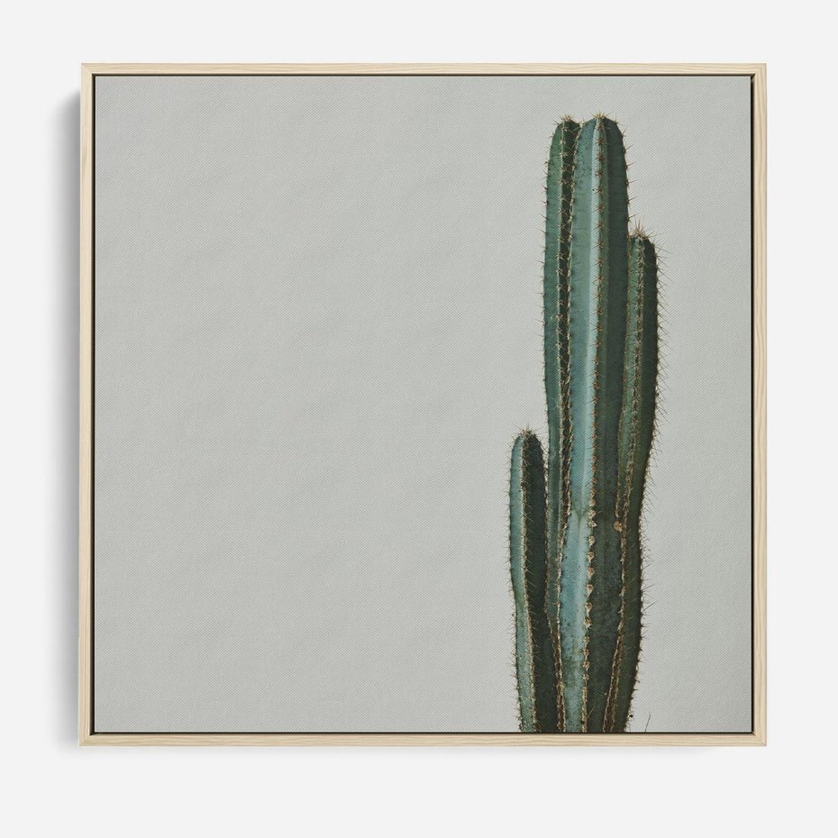 Obraz w ramie 80x80 - Zieleń i Subtelność - kaktusy, liście - rama drewno