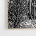 Obraz w ramie 80x80 - Pustynny Klimat - czarno białe zdjecie, pustynia - rama drewno