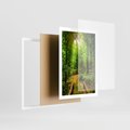 Plakat w ramie 50x70 - Współistnienie z naturą - drzewa, las - rama biała