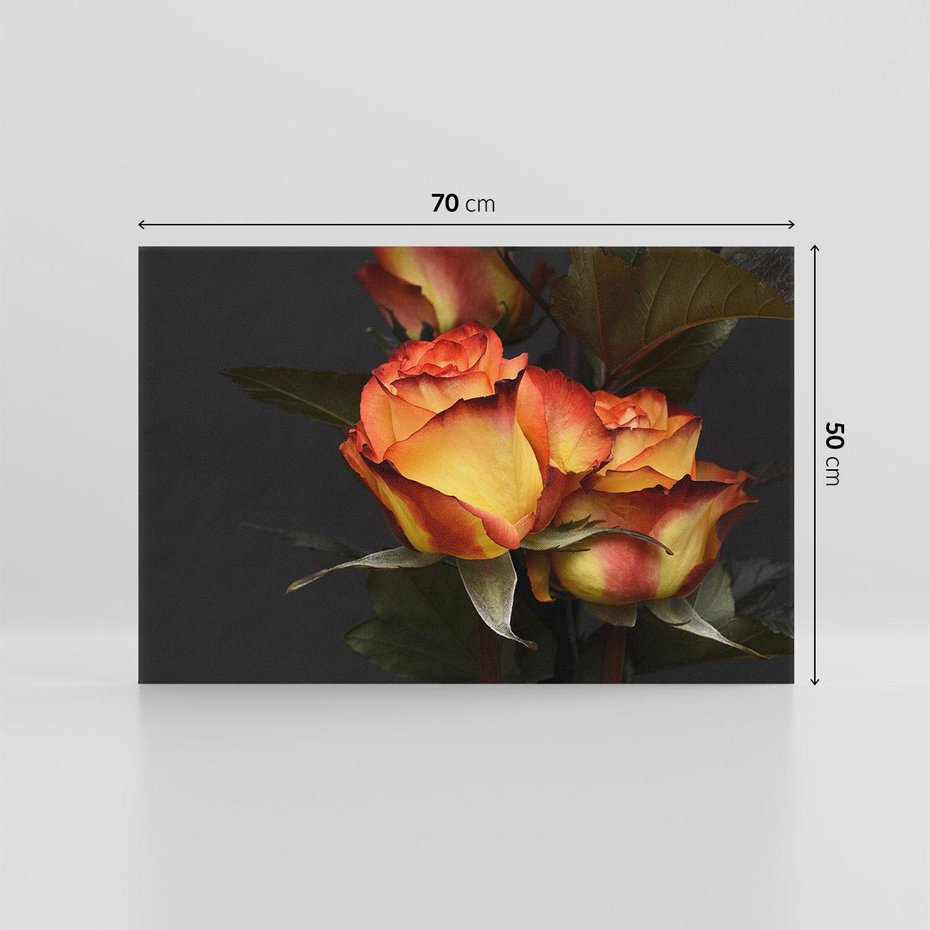 Obraz na płótnie 70x50 - Romantyczne Piękno Róż na Tle Natury - róże, kwiaty