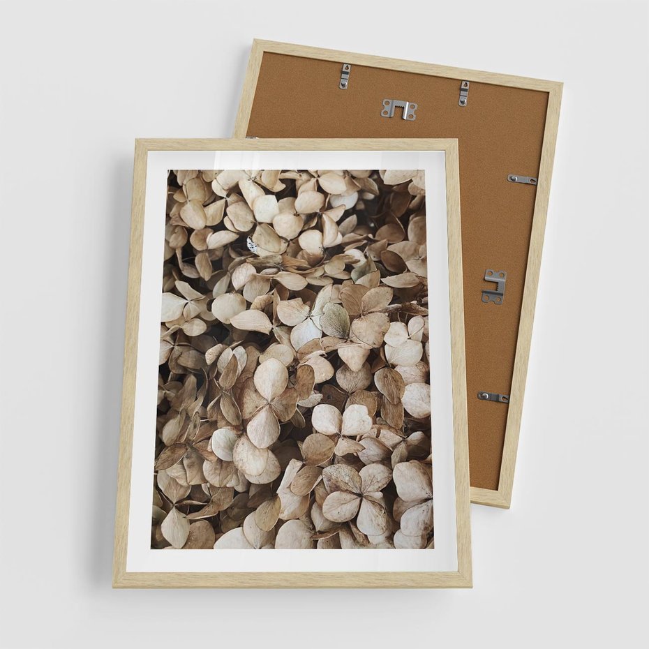Plakat w ramie 50x70 - Delikatność Hortensji: Kompozycja Kwiatów w Beżu - hortensja, odcienie beżu - rama drewno