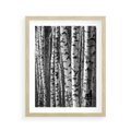 Plakat w ramie 40x50 - Kontrast Monochromatyczny - brzozy, czarno - rama drewno