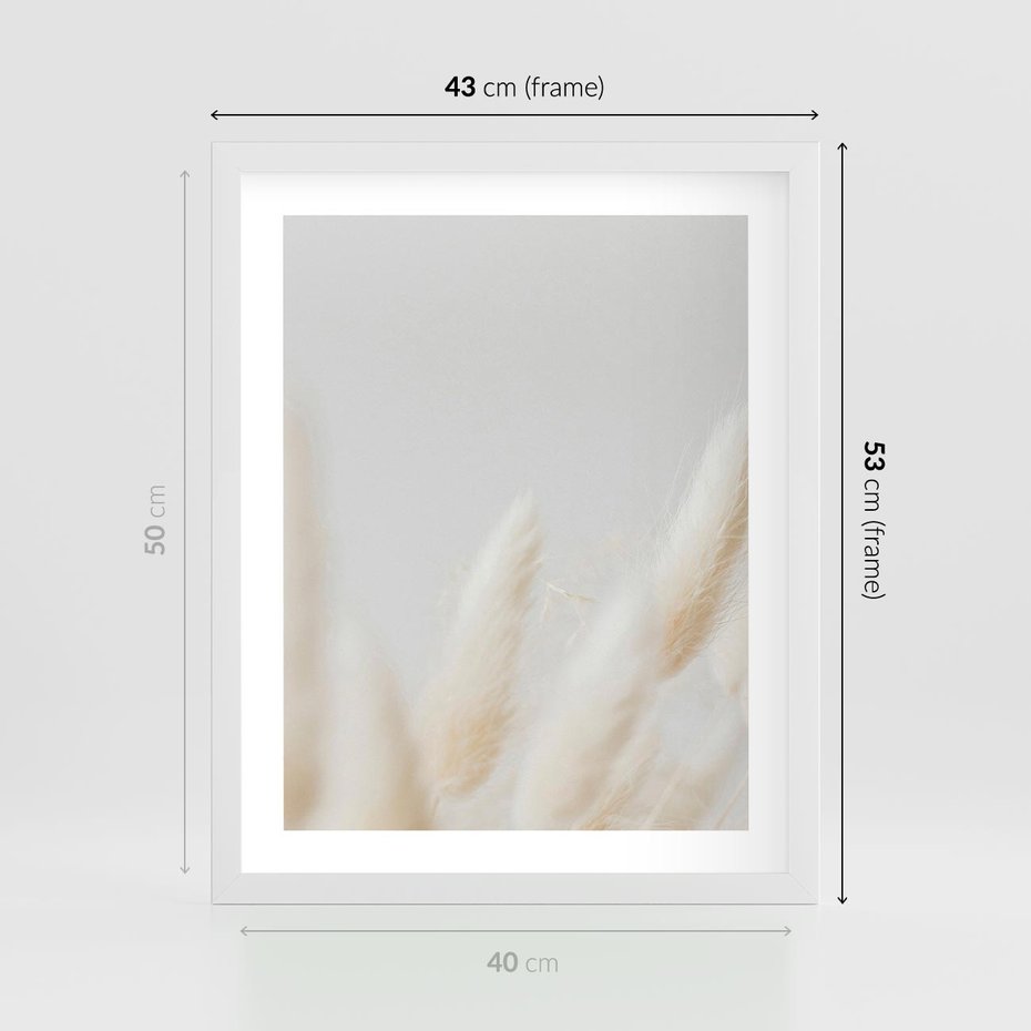 Plakat w ramie 40x50 - Biały Spokój - białe trawy, suche trawy pampas - rama biała