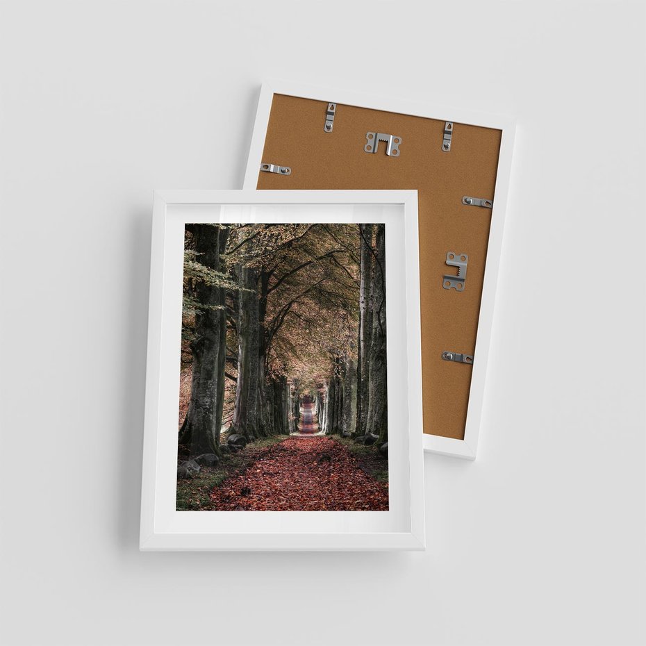 Plakat w ramie 30x40 - Spacer po Leśnej Drodze - ścieżka w lesie, jesień suche liście - rama biała