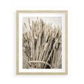 Plakat w ramie 40x50 - Letni Plon - zboże, kłosy zboża - rama drewno