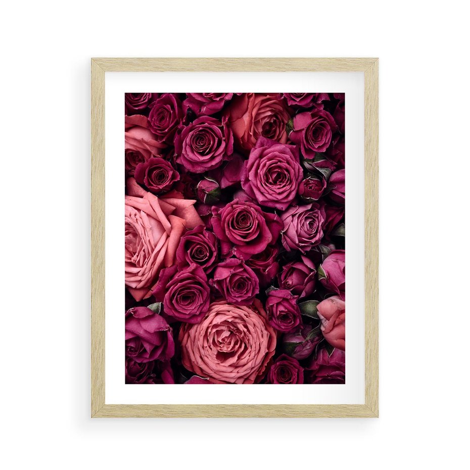 Plakat w ramie 40x50 - Róże - piękno kwiatów - róże, kwiaty - rama drewno