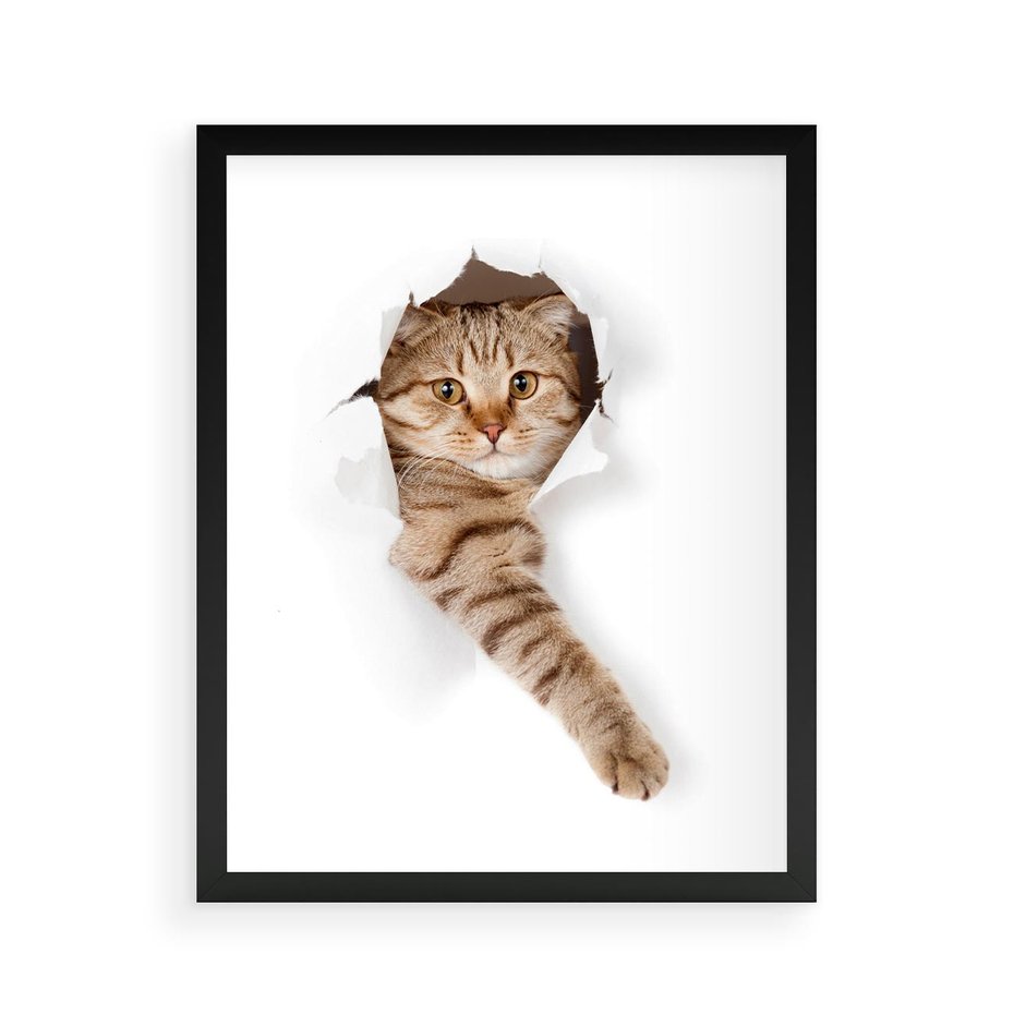 Plakat w ramie 40x50 - Kot w Dziurze - kot, dziura - rama czarna