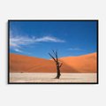 Obraz w ramie 100x70 - Słońce i Suche Drzewo - pustynia, suche - rama czarna