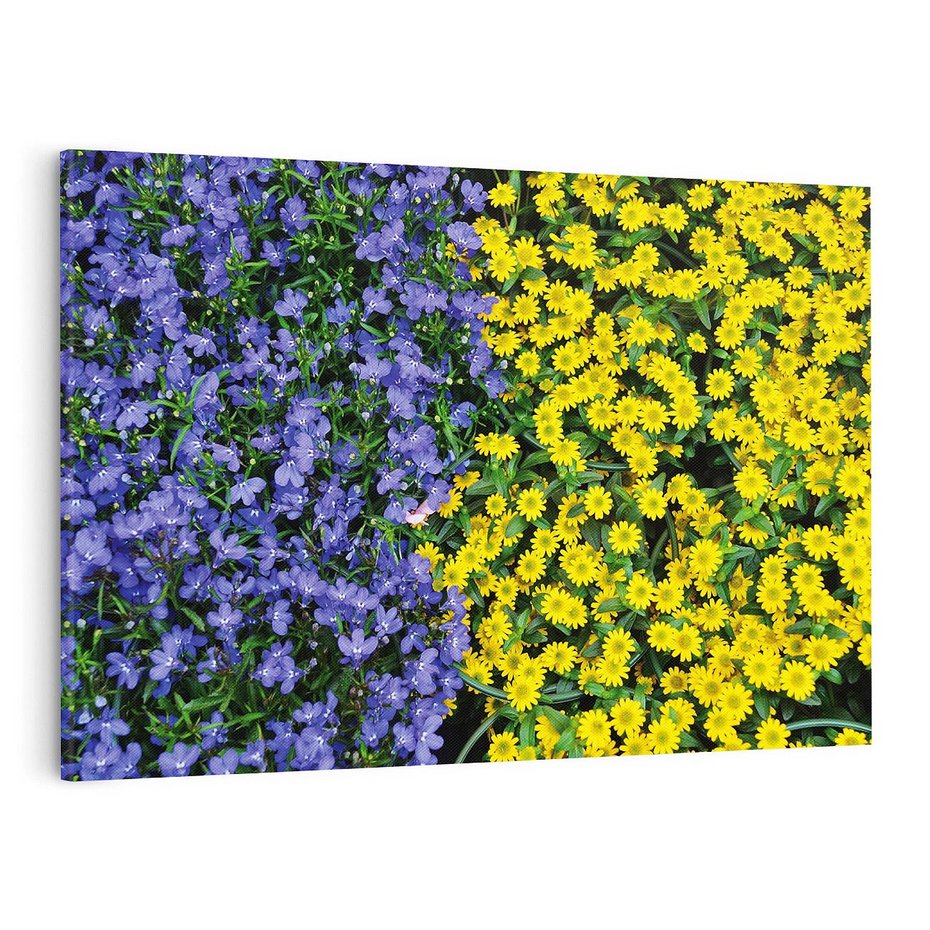 Obraz na płótnie 120x80 - Tulipanowe Elegancja - kwiat, kwiaty