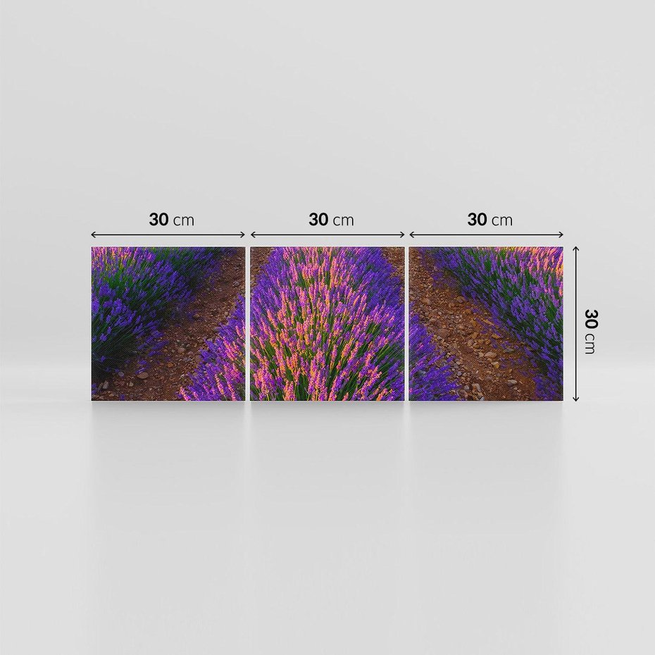 Obraz na płótnie 90x30 - Fioletowa Magia - pole, lawendy