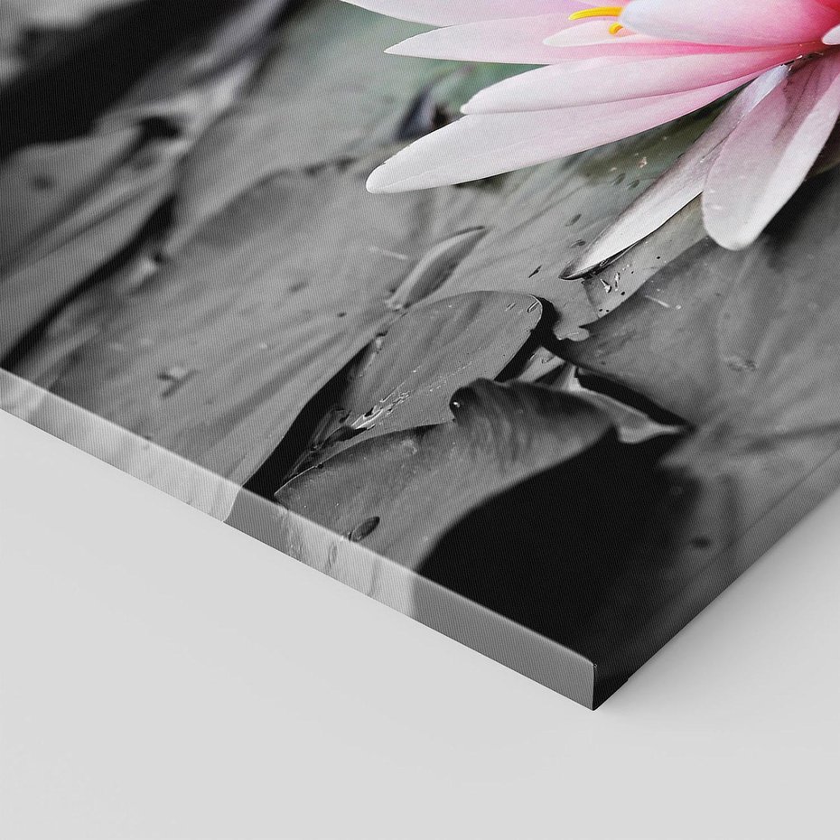 Obraz na płótnie 70x50 - Liliowy kwiat - lilia, kwiat