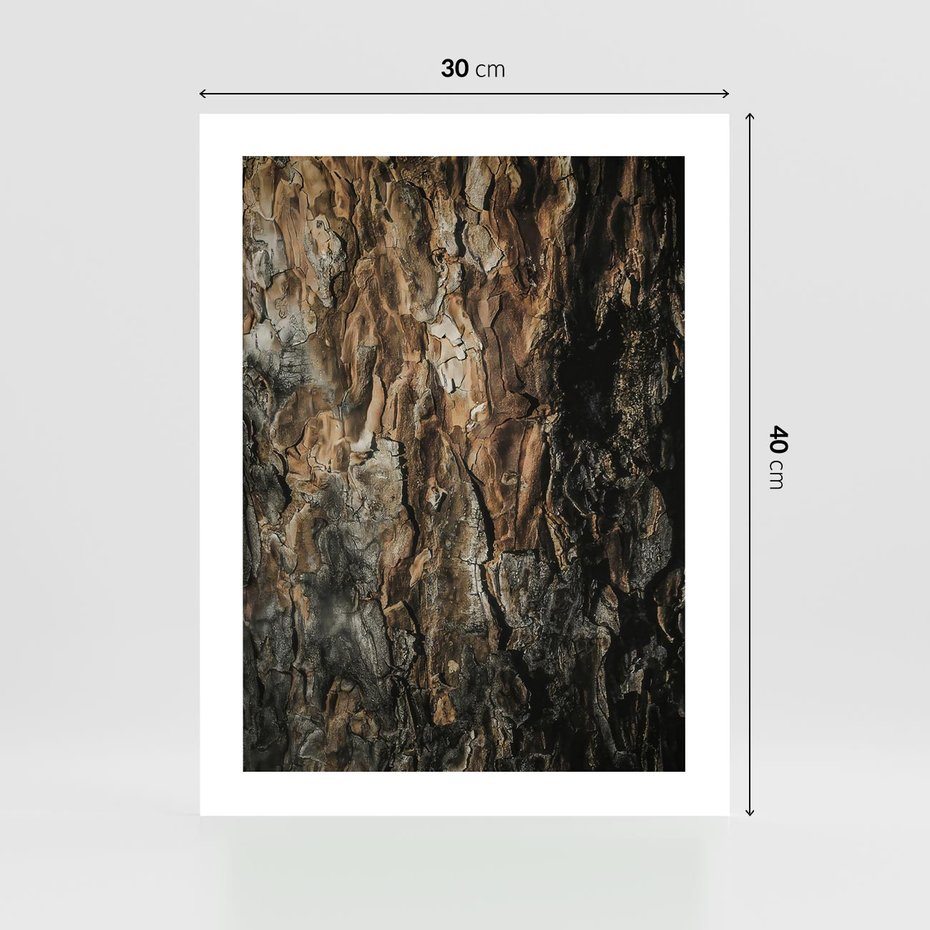 Plakat bez ramy 30x40 - Tekstura Drewna: Zbliżenie - zbliżenie na pień drzewa, tekstura