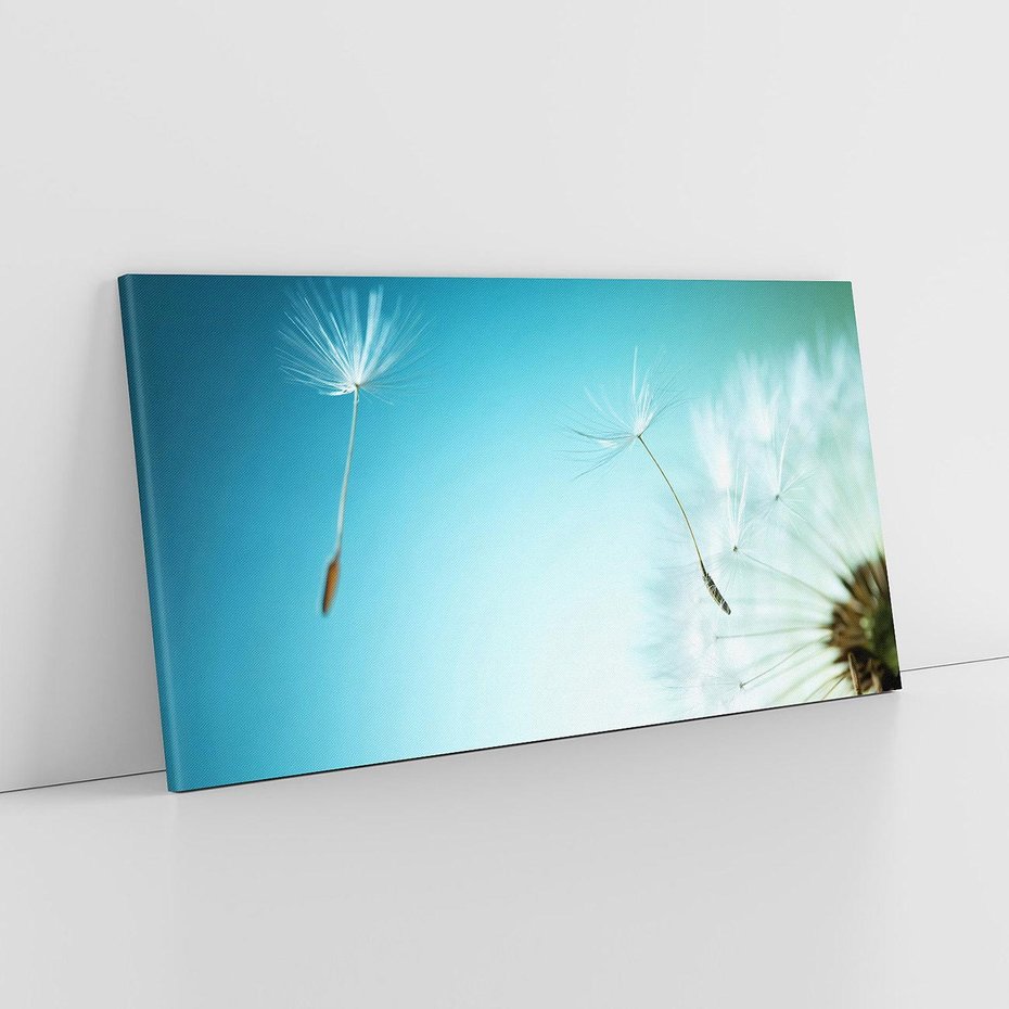 Obraz na płótnie 120x60 - Lekkość i Przemijanie - dmuchawiec, wiatr