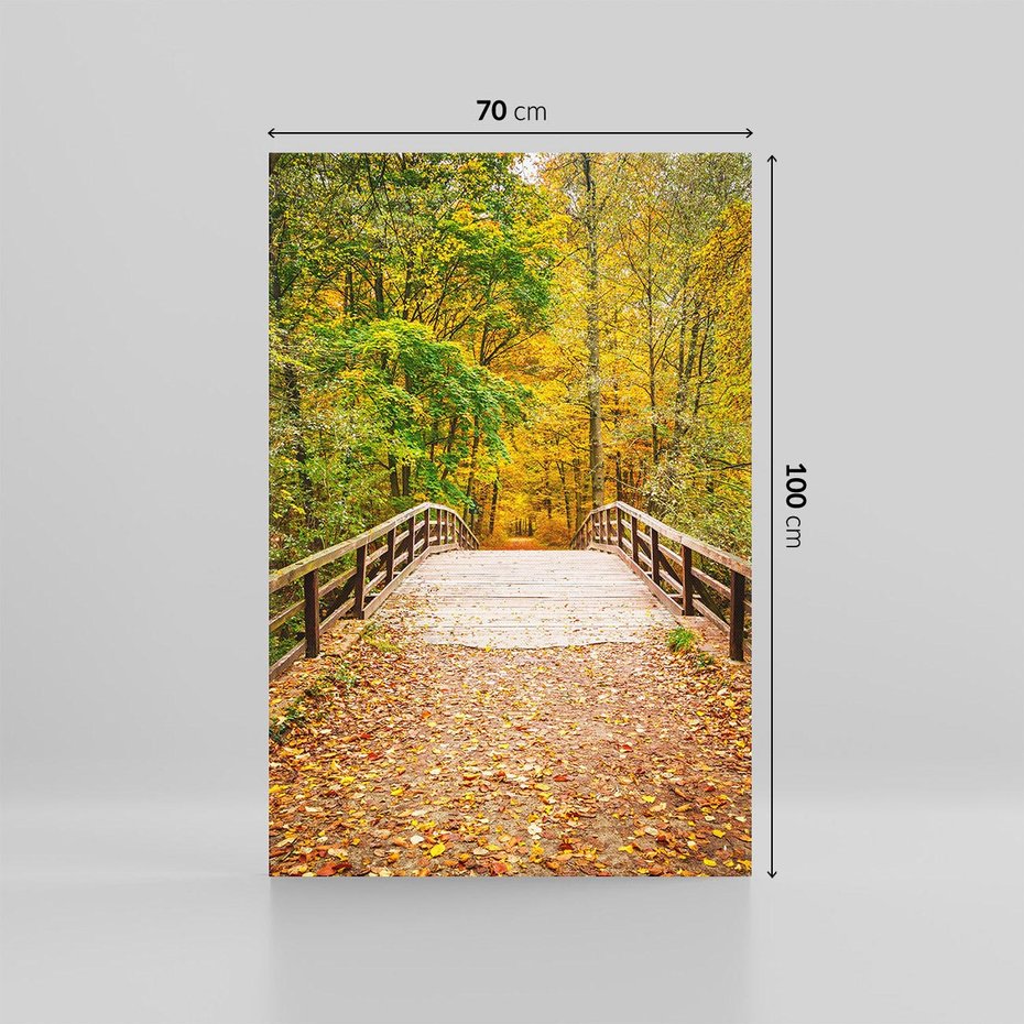 Obraz na płótnie 70x100 - Spacer Ścieżką w Las - ścieżka, spacer