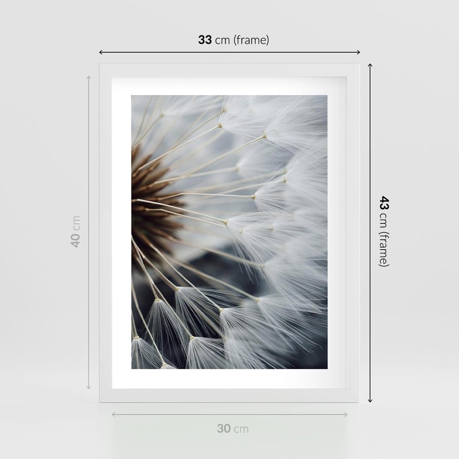 Plakat w ramie 30x40 - Dmuchawce w Naturze - dmuchawiec, zbliżenie - rama biała